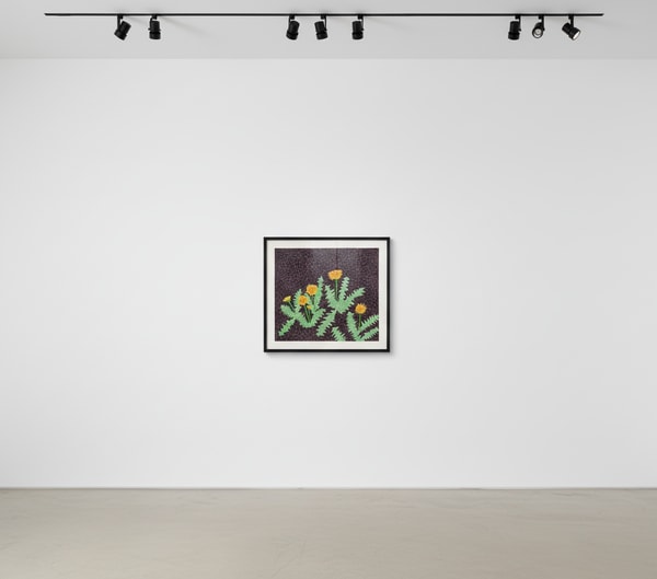 Yayoi Kusama - Dandelions, 1985, Lithograph