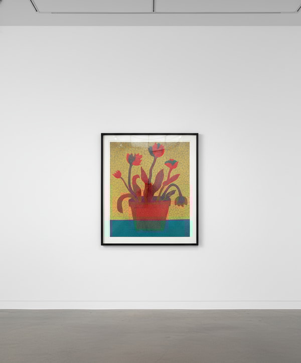 Yayoi Kusama - Flowers C, 2005, Screen print