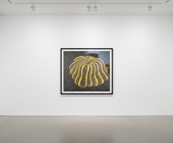 Yayoi Kusama - Napping Pumpkin, 1993, Lithograph