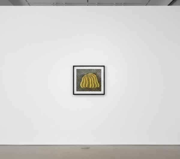 Yayoi Kusama - Pumpkin BB-C, 2004, Screen print