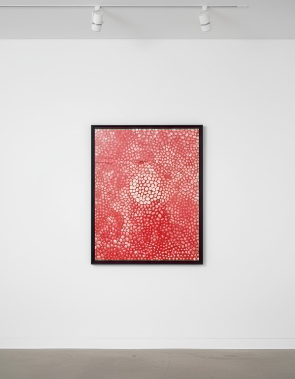 Yayoi Kusama - Sunlights, 1998, Screenprint