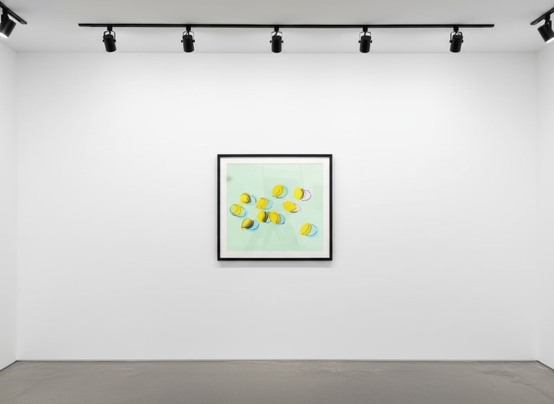 Andy Warhol Space Fruit