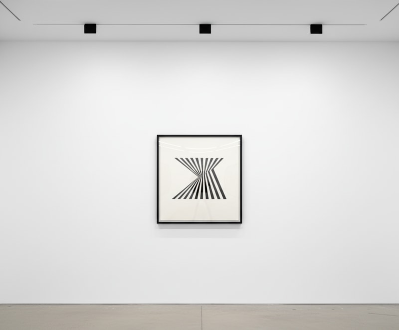 Bridget Riley Fragment