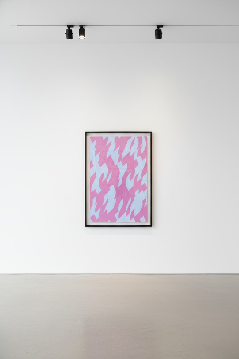 Bridget Riley Magenta