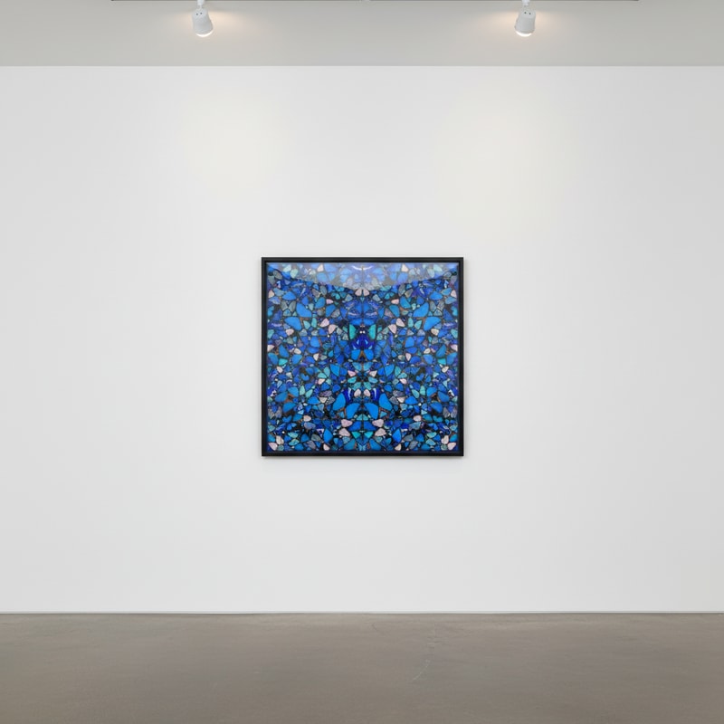 Damien Hirst H6 - the Aspects / Elements