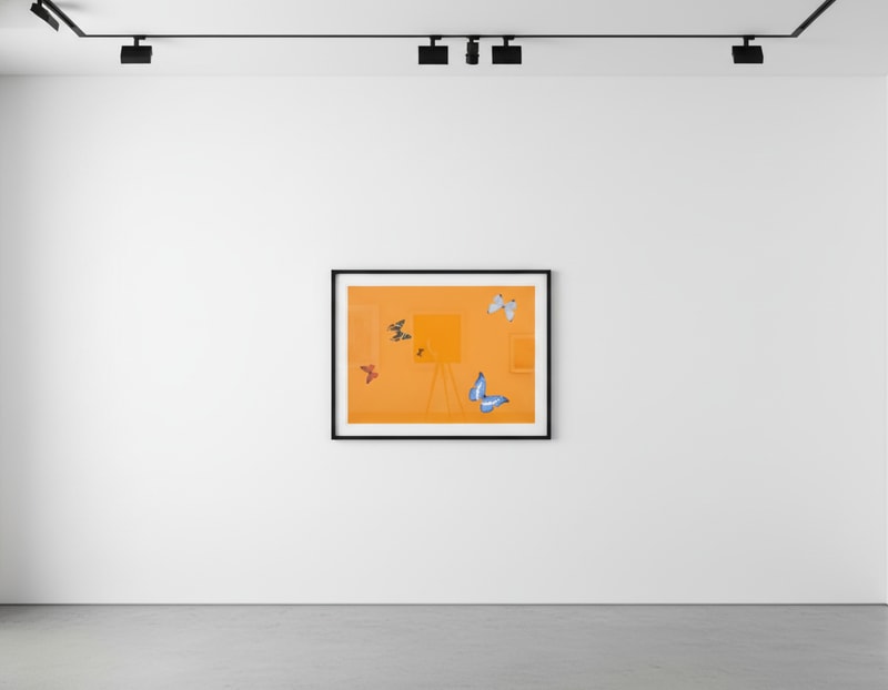 Damien Hirst Lessons in Love