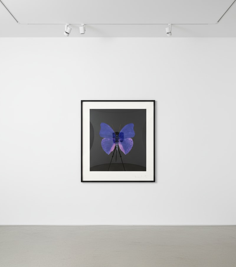 Damien Hirst The Souls on Jacob's Ladder