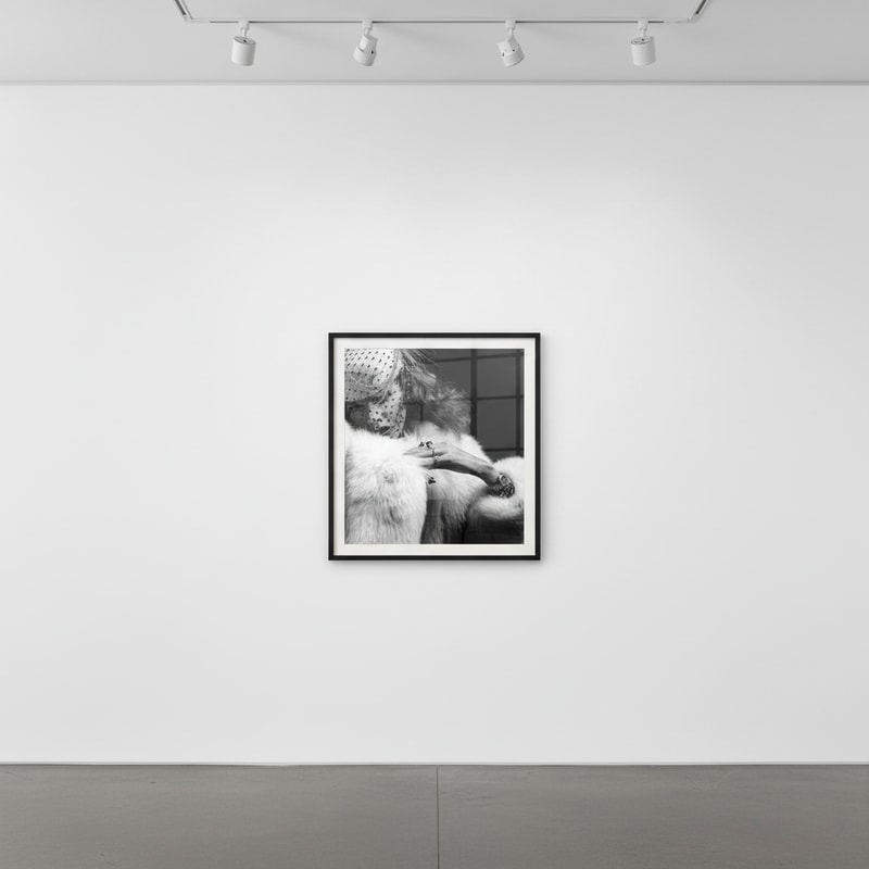 Robert Mapplethorpe Portraits