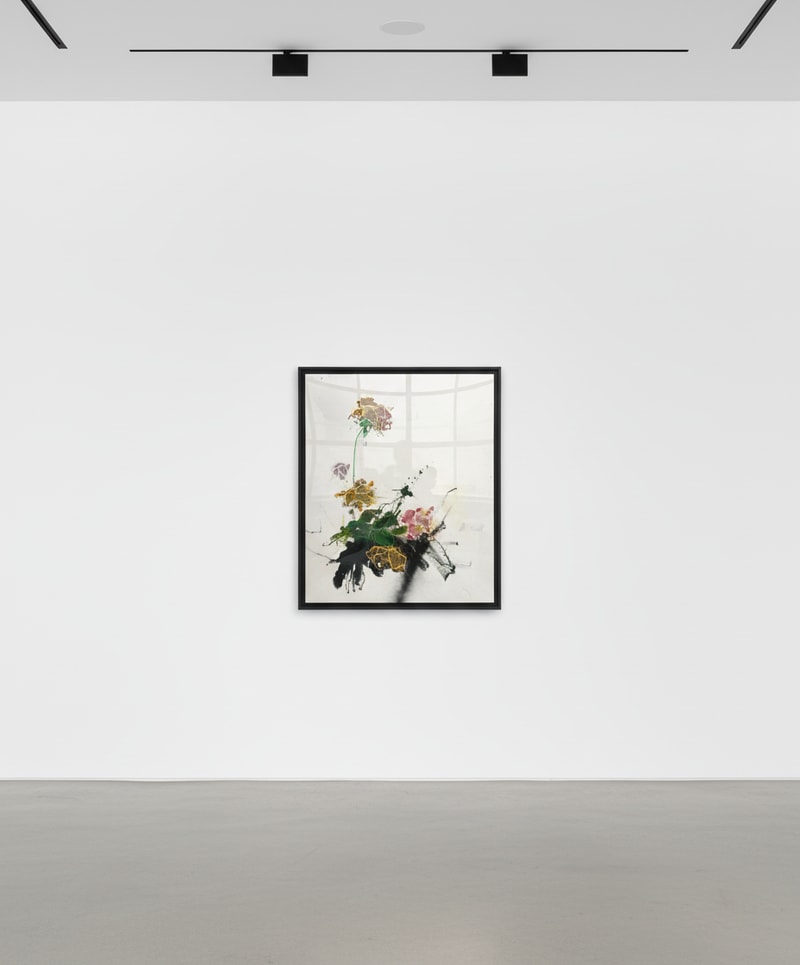 Sage Barnes Paintings